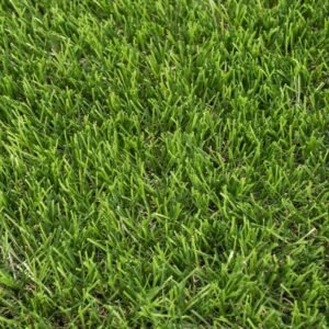 daleside-40mm-artificial-grass-closeup_1600x1600-1.jpg