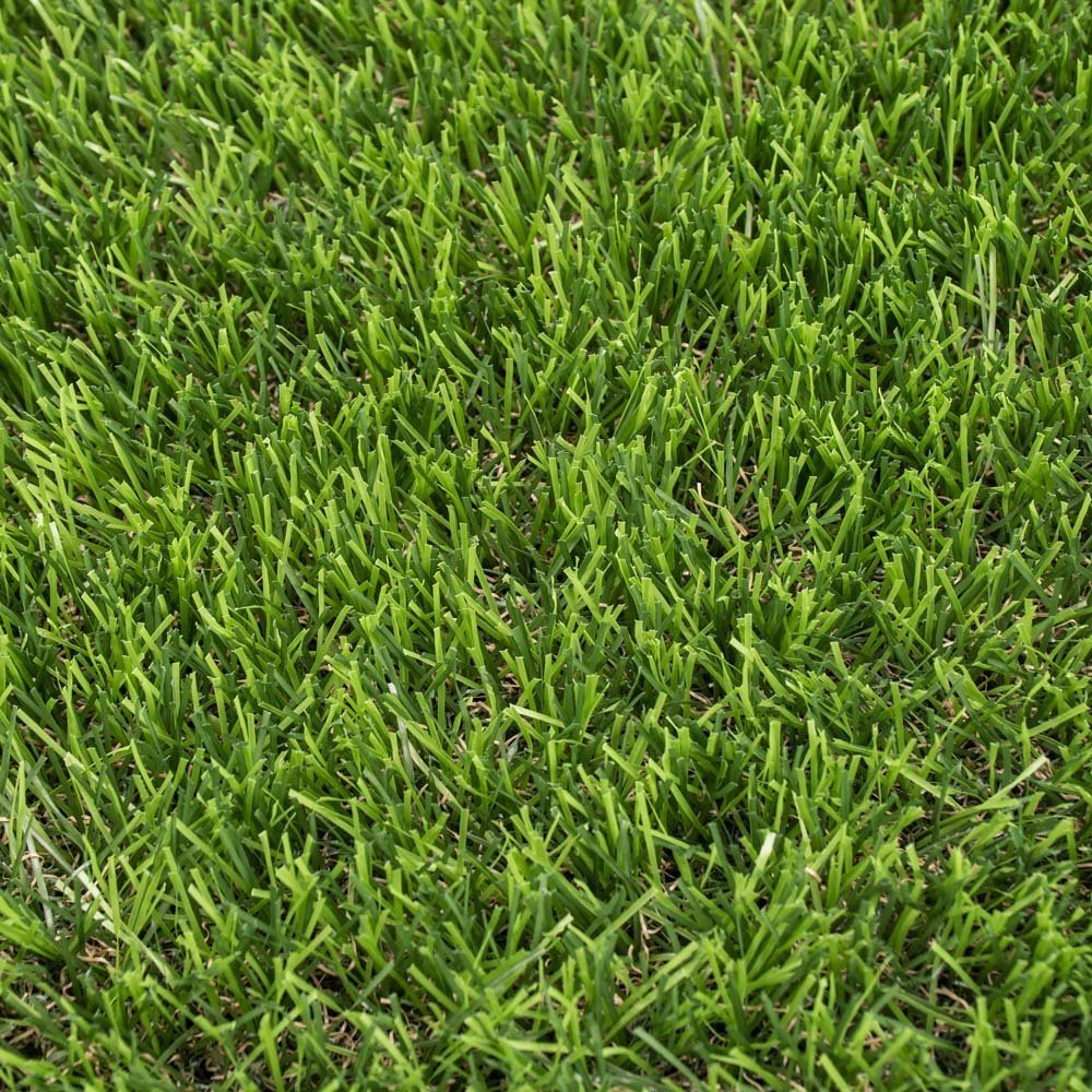 daleside-40mm-artificial-grass-closeup_1600x1600-1.jpg