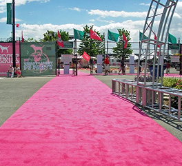 office-window-curtains-in-dubai