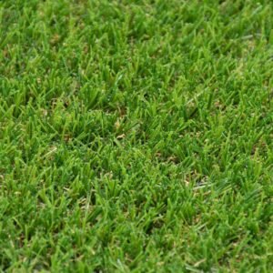 tyne-30mm-artificial-grass-close-up_1600x1600-1.jpg
