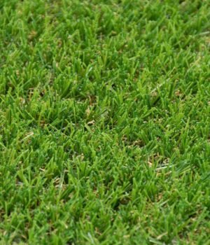 tyne-30mm-artificial-grass-close-up_1600x1600-1.jpg