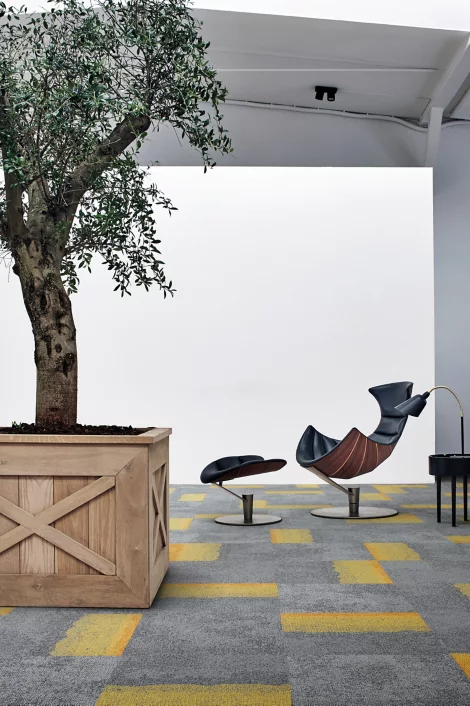 Composure Edge - Image 3