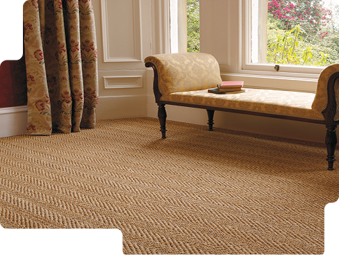 Sisal Carpets