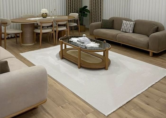 minimal living room carpet
