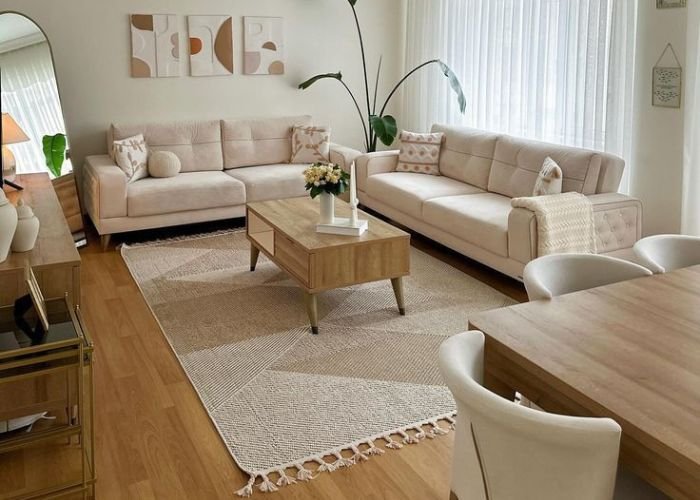 stylish living room flooring