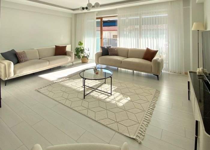 thick living room carpet